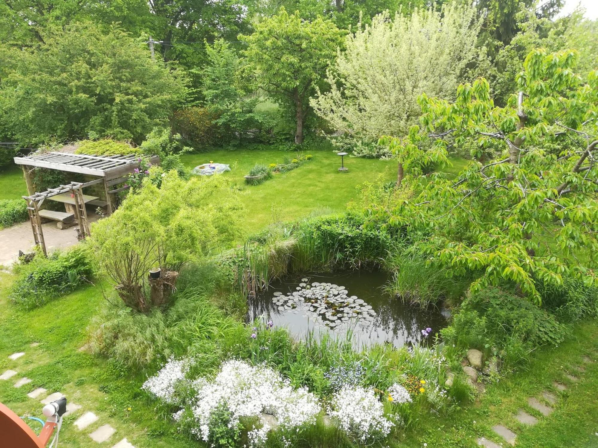 Ferien In Der Scheune Dettmannsdorf Εξωτερικό φωτογραφία